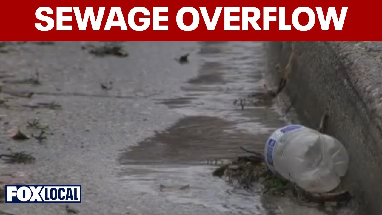Sewer overflow linked to 'flushable wipes' in Adelphi