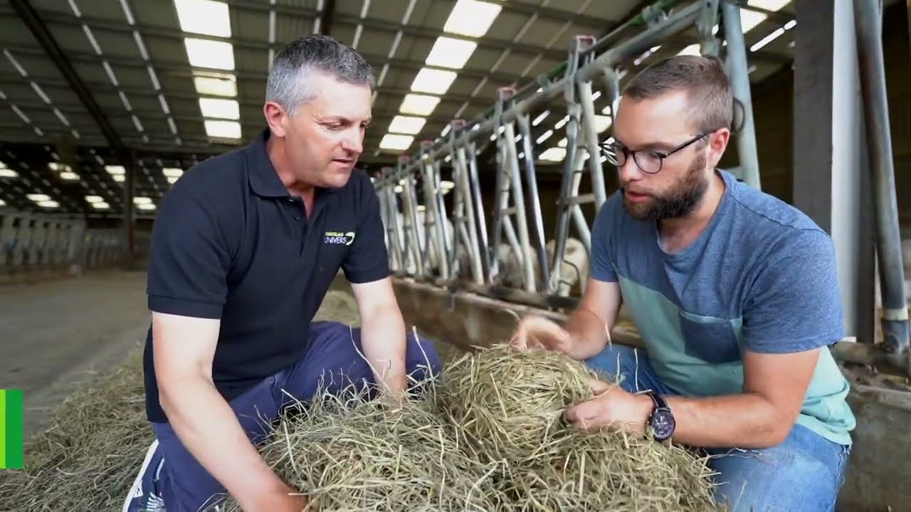 Pourquoi engraisser ses vaches de réformes avec fourrages riches en protéines ?