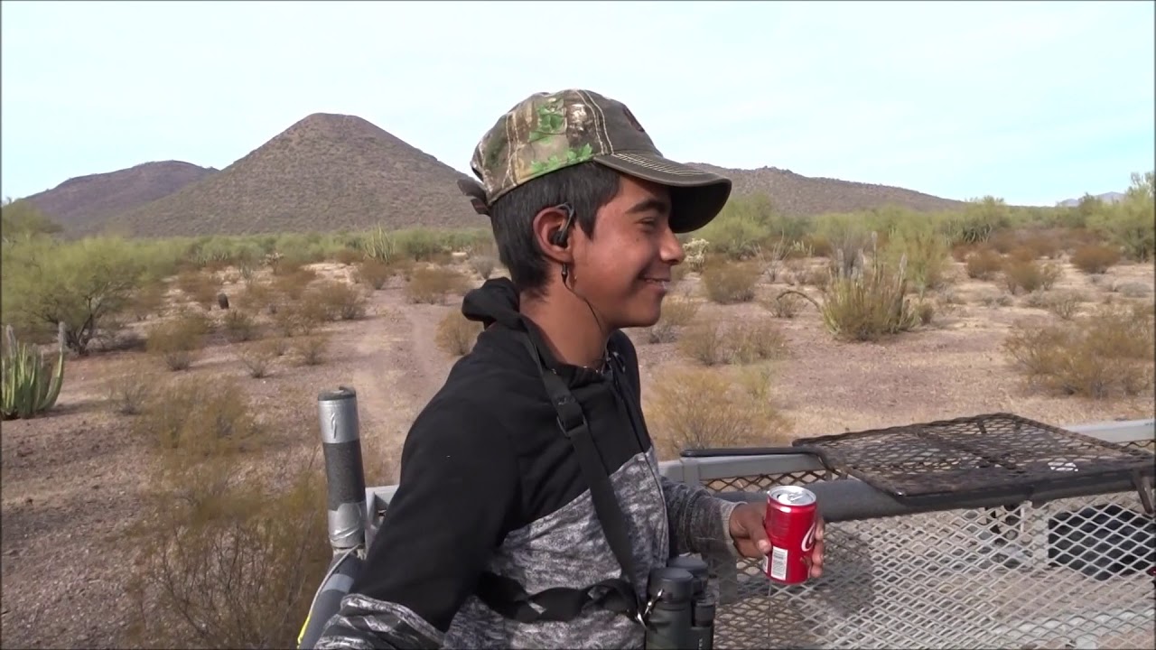 Caceria Venado Bura Del Desierto, Rancho Nuevo Pitiquito Sonora