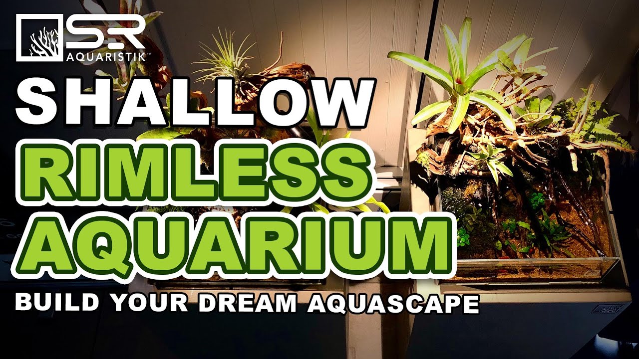 Build your Dream Aquascape with SR Aquaristik Shallow Rimless Aquarium