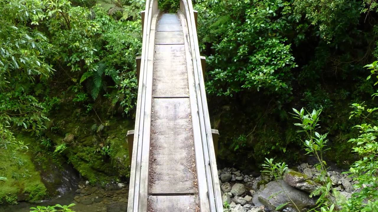 Tararua Forest Park, New Zealand