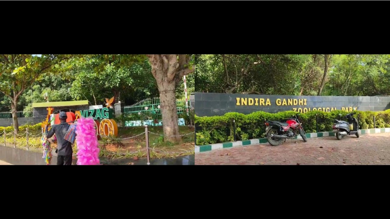 Vizag zoo Park Vlog || Indira Gandhi Zoological Park || Zoo Park