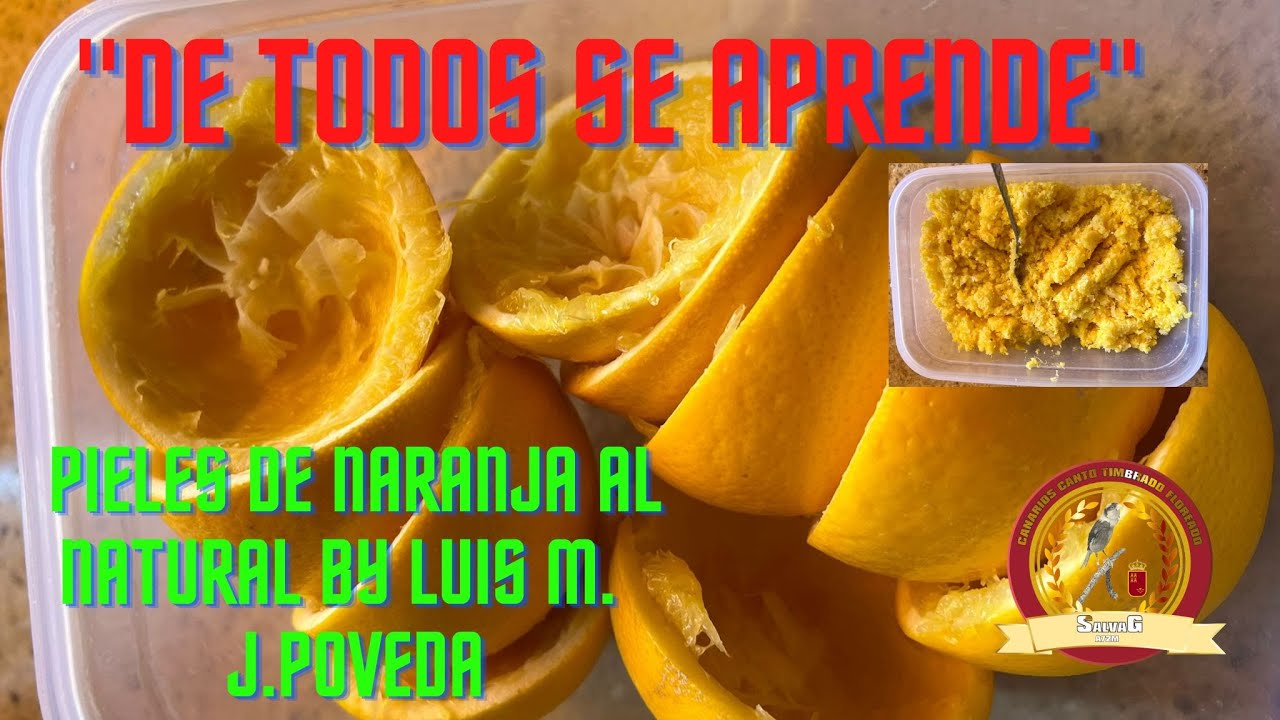 EL USO DE LA PIEL DE LAS NARANJAS EN CRUDO BY LUIS MARTÍNEZ Y JOSÉ POVEDA