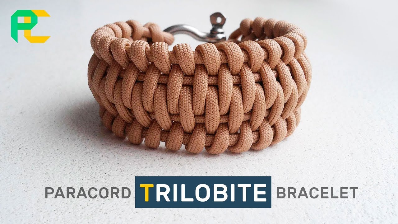 Paracord Bracelet Trilobite with shuckle
