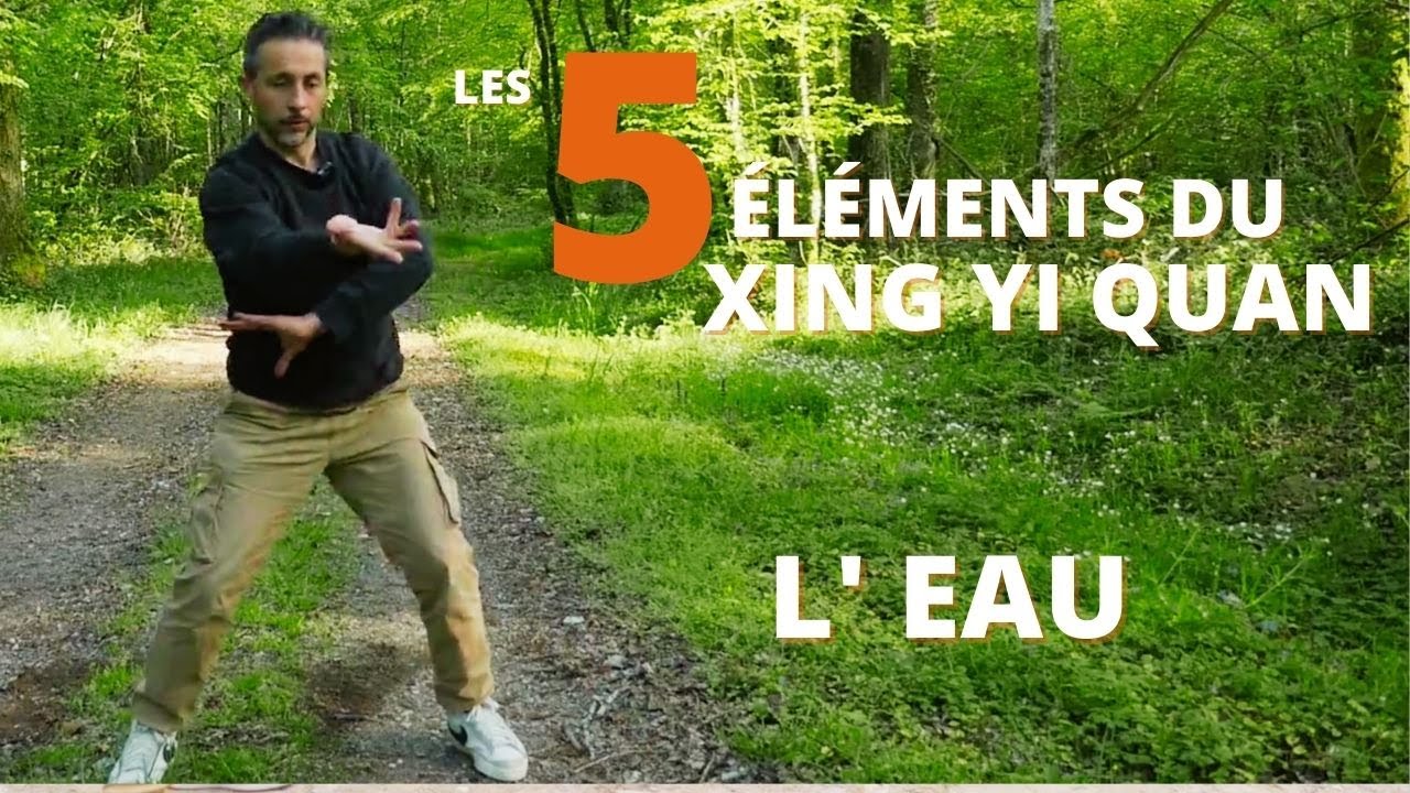 TAÏCHI MARTIAL SYSTEM : Les 5 éléments du XING YI QUAN - L' eau - Partie 2/5