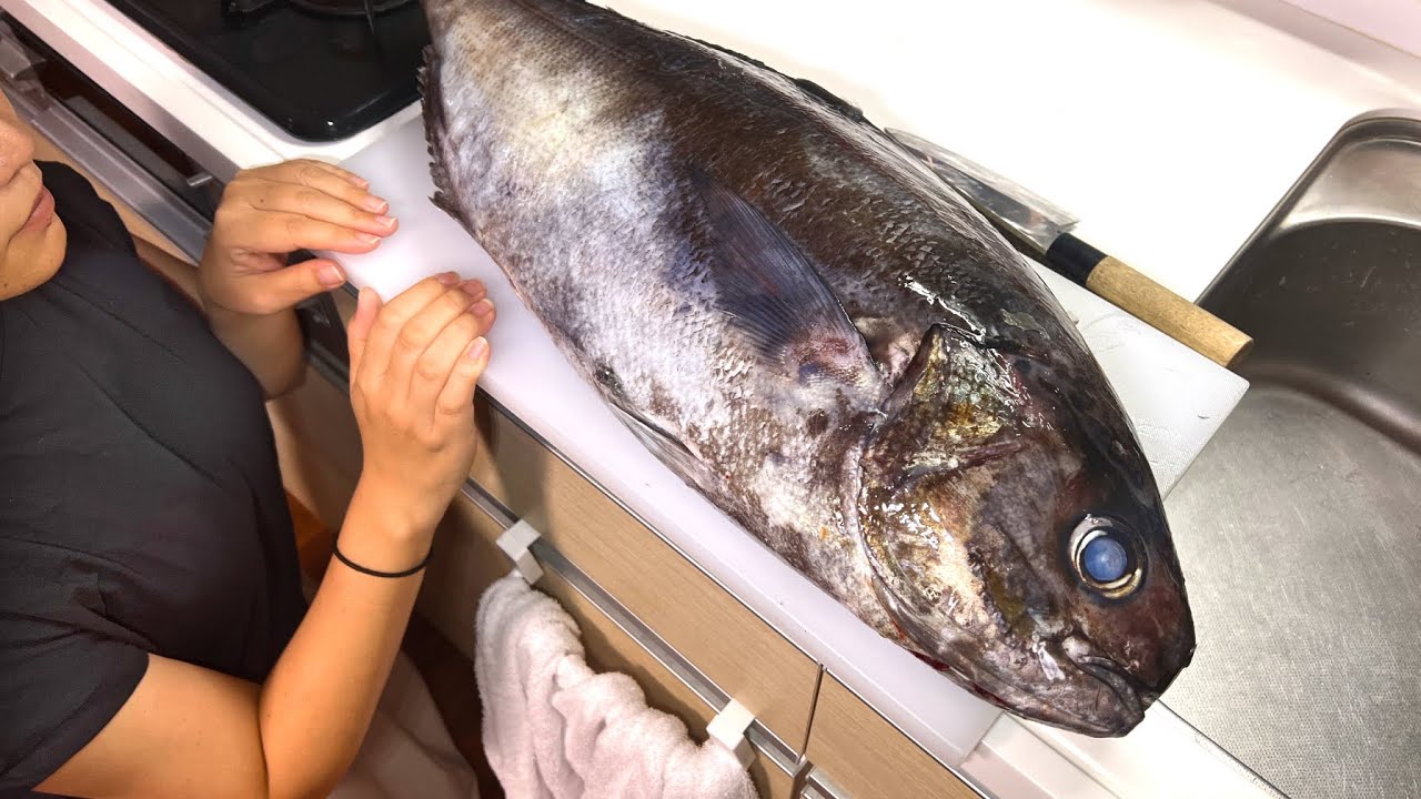 【8kg】最大級のメダイを食べてみた