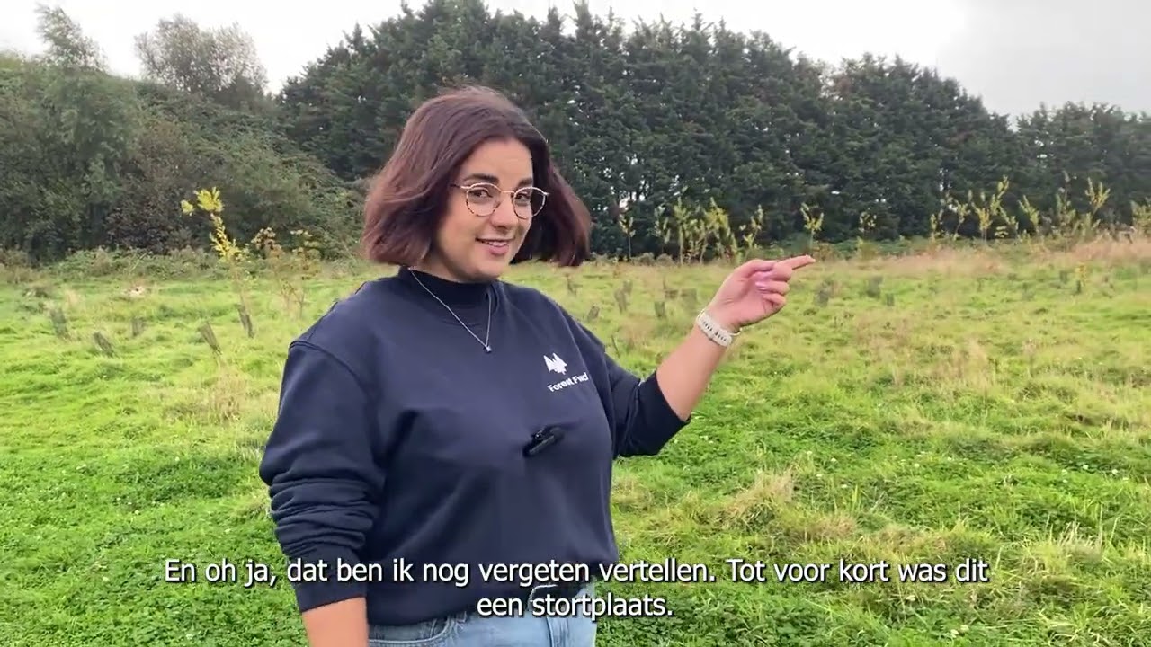 Bedrijfsbossen: Duurzaam Ondernemen & Employer Branding 🌿