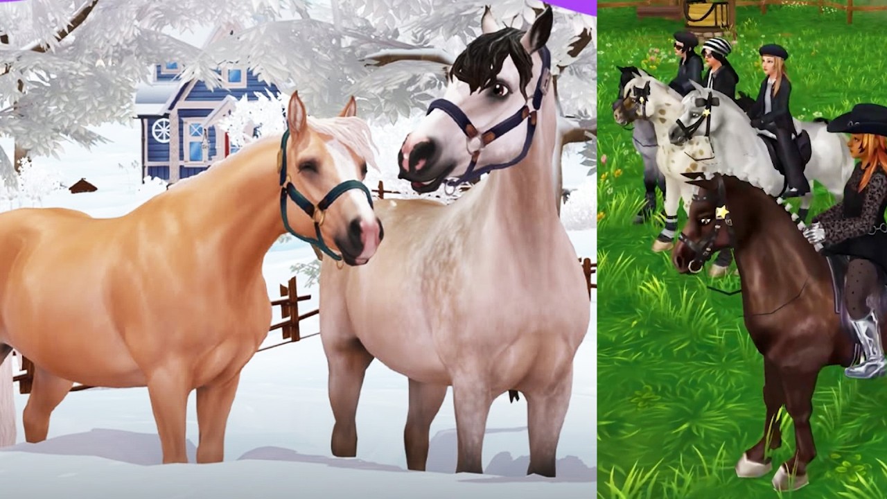 New Horses Next Up In Star Stable
