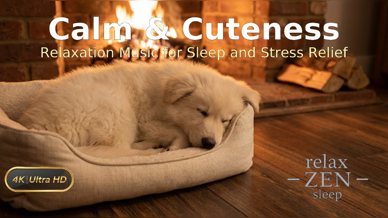 Luna’s Cozy Fireplace Nap 💤 | Relaxing 432Hz Guitar Music (1 Hour, 4K)