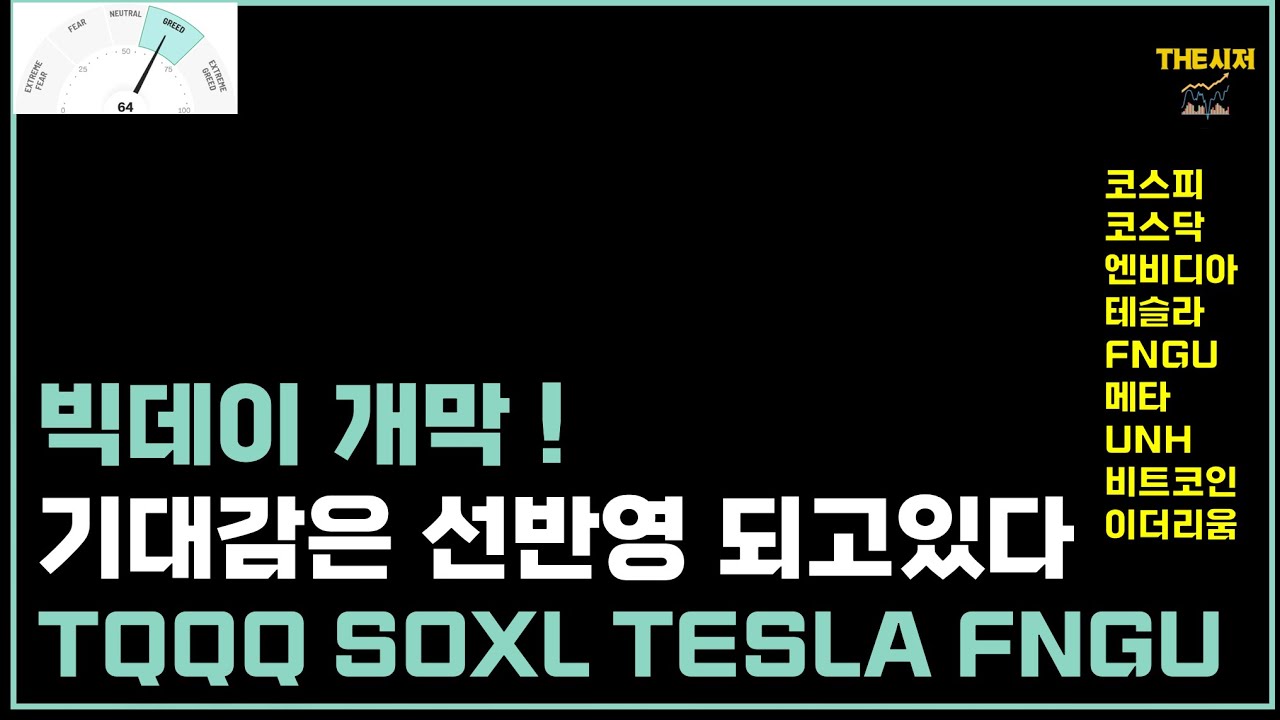 빅데이 개막  기대감은 선반영 되고있다 TQQQ SOXL TESLA FNGU 코스피 코스닥 엔비디아 테슬라 FNGU 메타 UNH 비트코인 이더리움