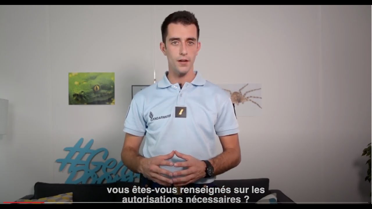Le coup de pouce du bleu - N°30 : Réglementation sur les animaux