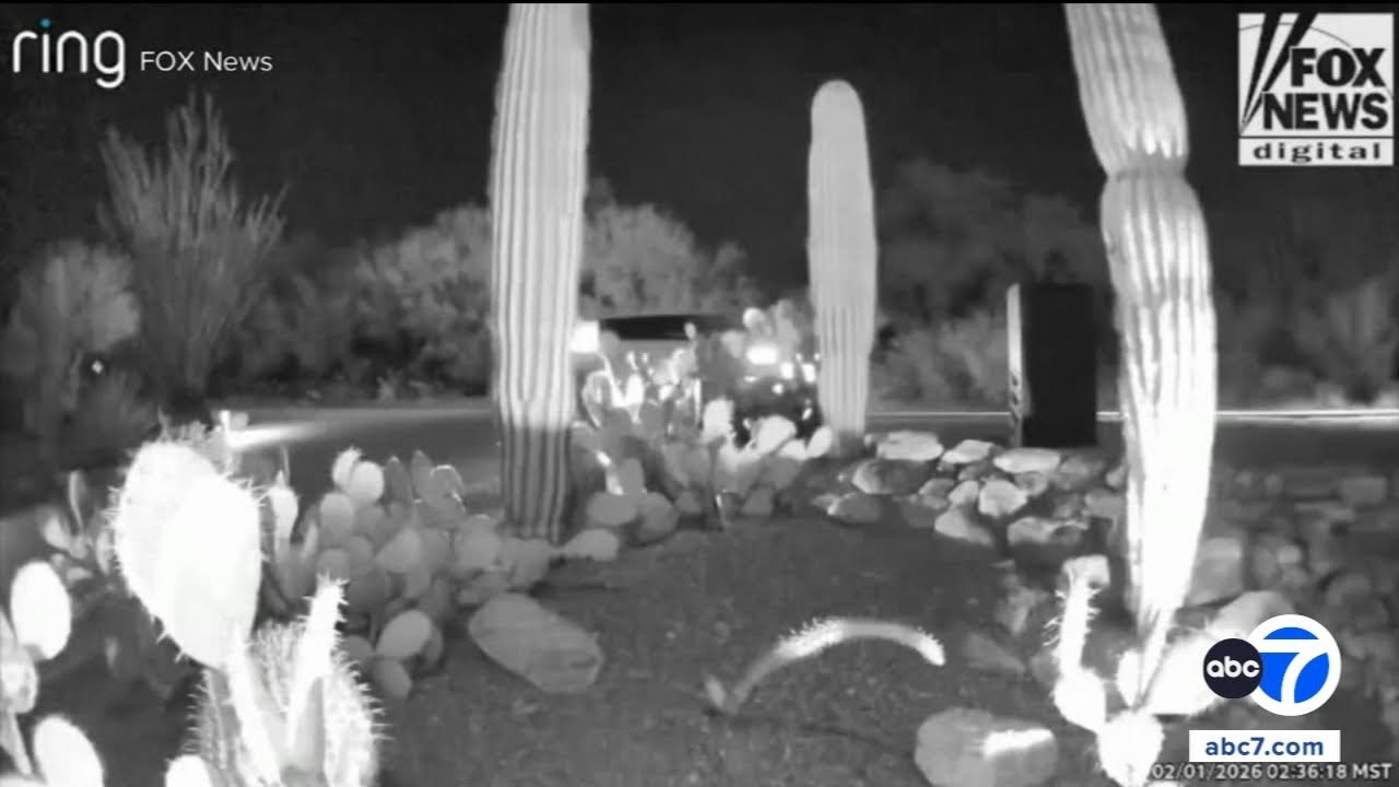 New video being analyzed in search for Nancy Guthrie