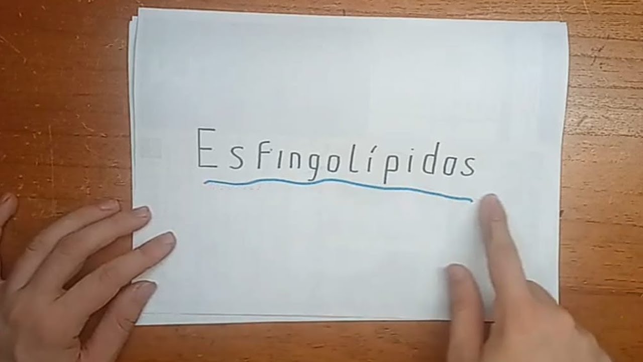 Aprendé que son los ESFINGOLÍPIDOS ¡¡EN 5 MINUTOS!! 🧠🧠