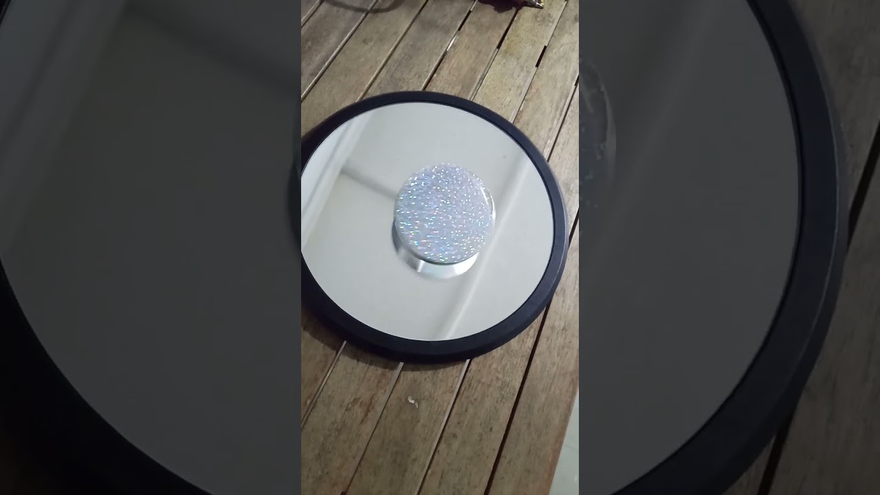Euler's Disk Test