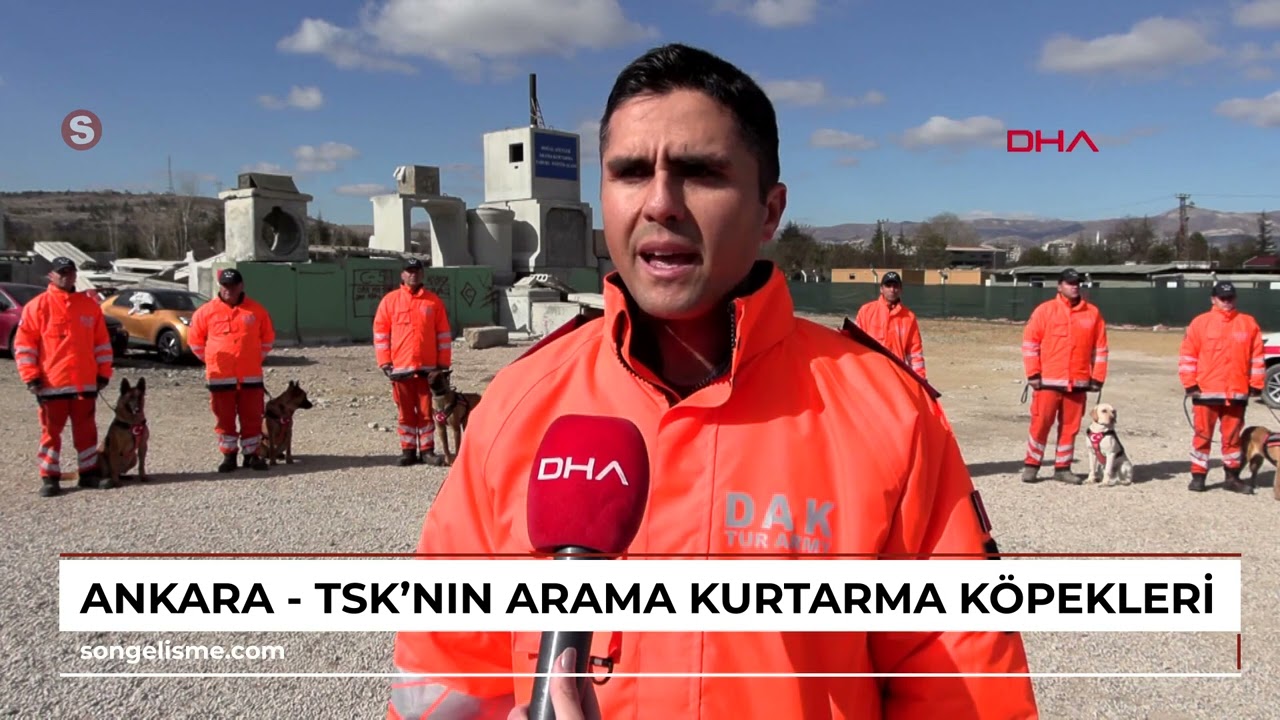 Ankara - TSK'nın arama kurtarma köpekleri