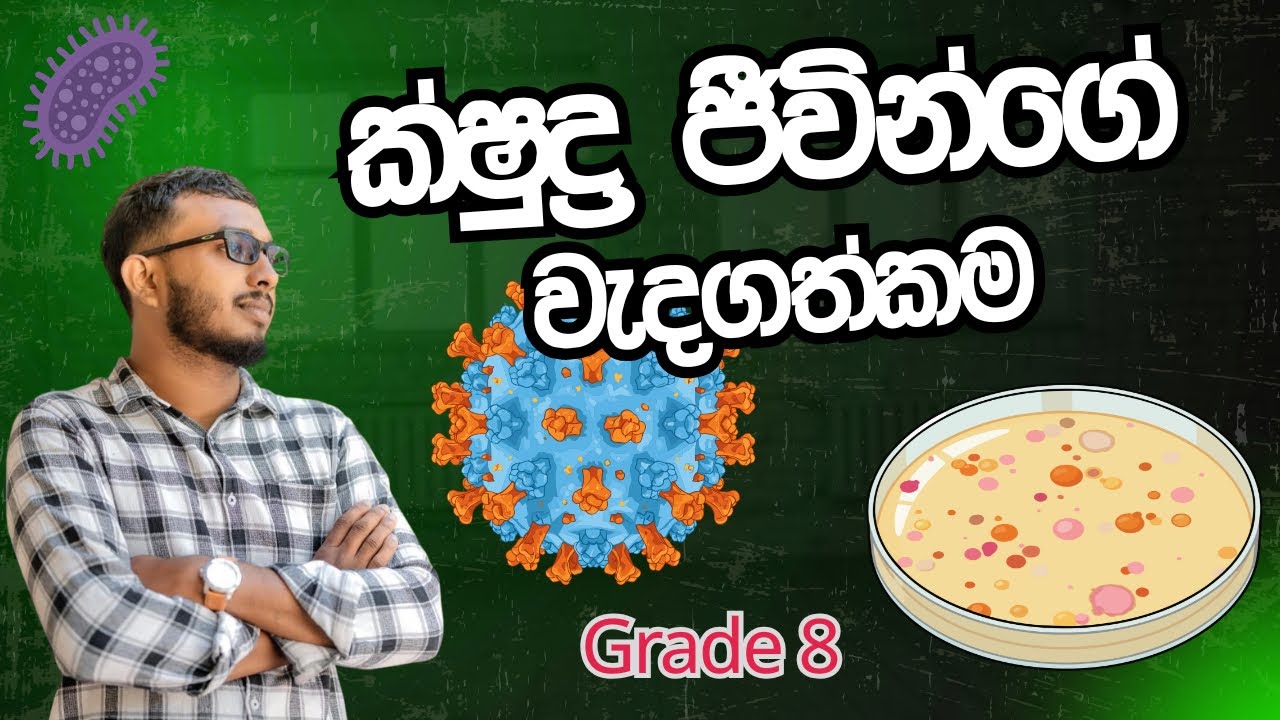 ක්ෂුද්‍ර ජීවීන්ගේ වැදගත්කම 2