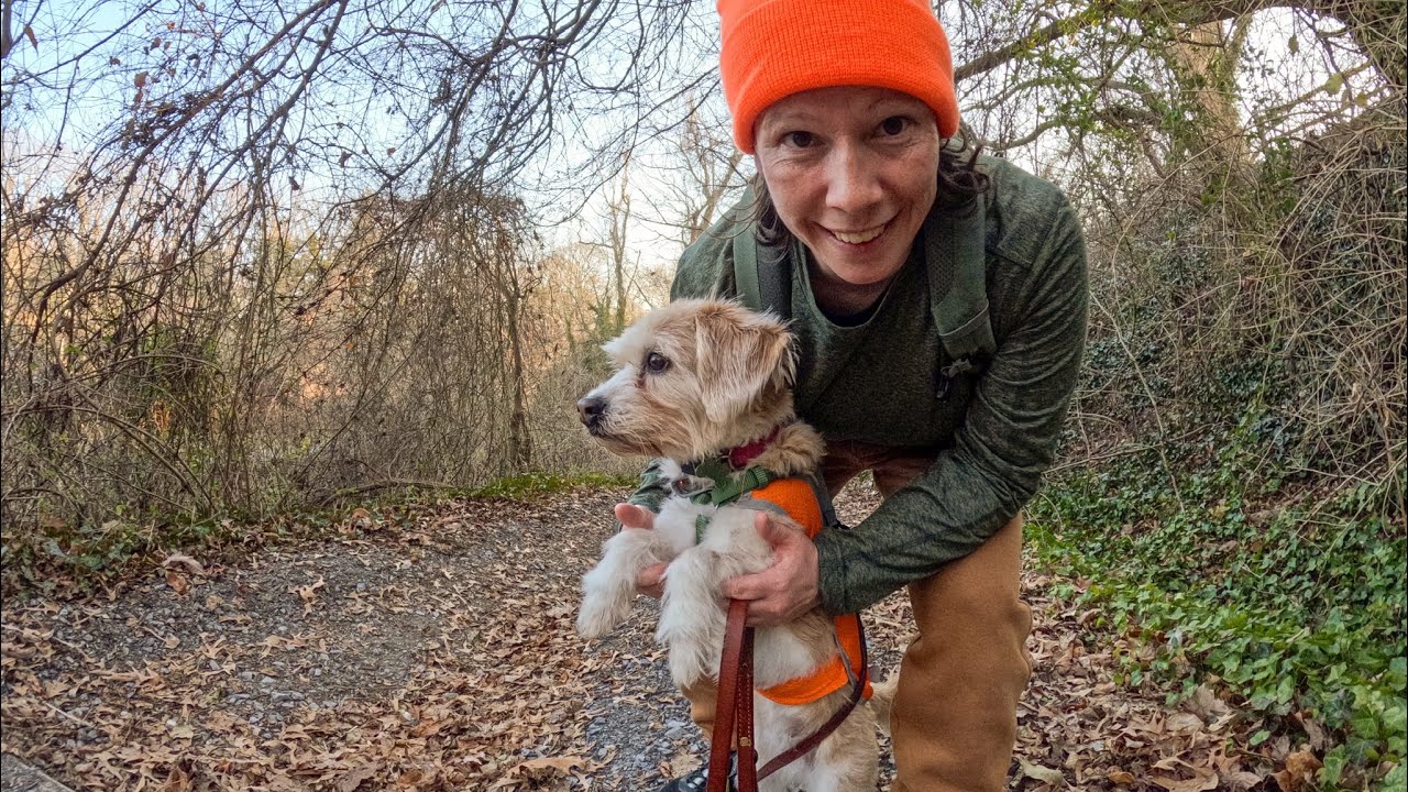 A Ginny Walk 🍁