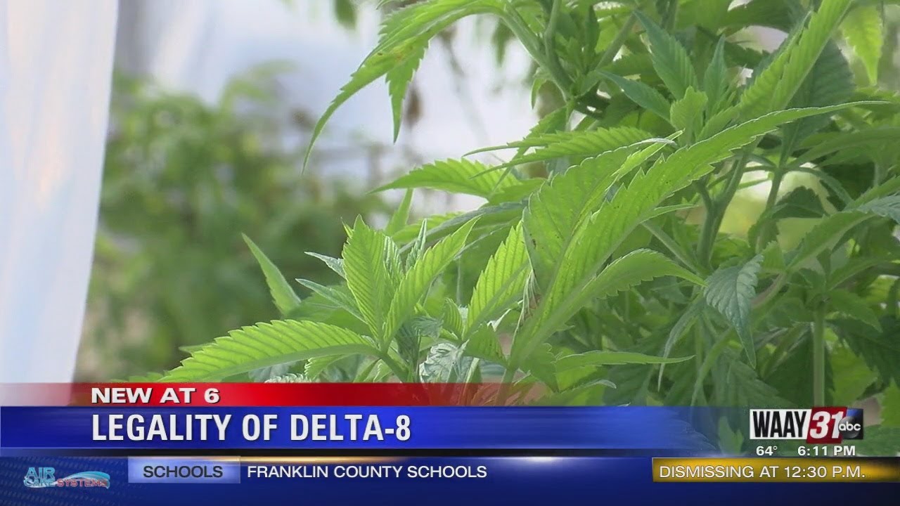 Legality Of DELTA-8