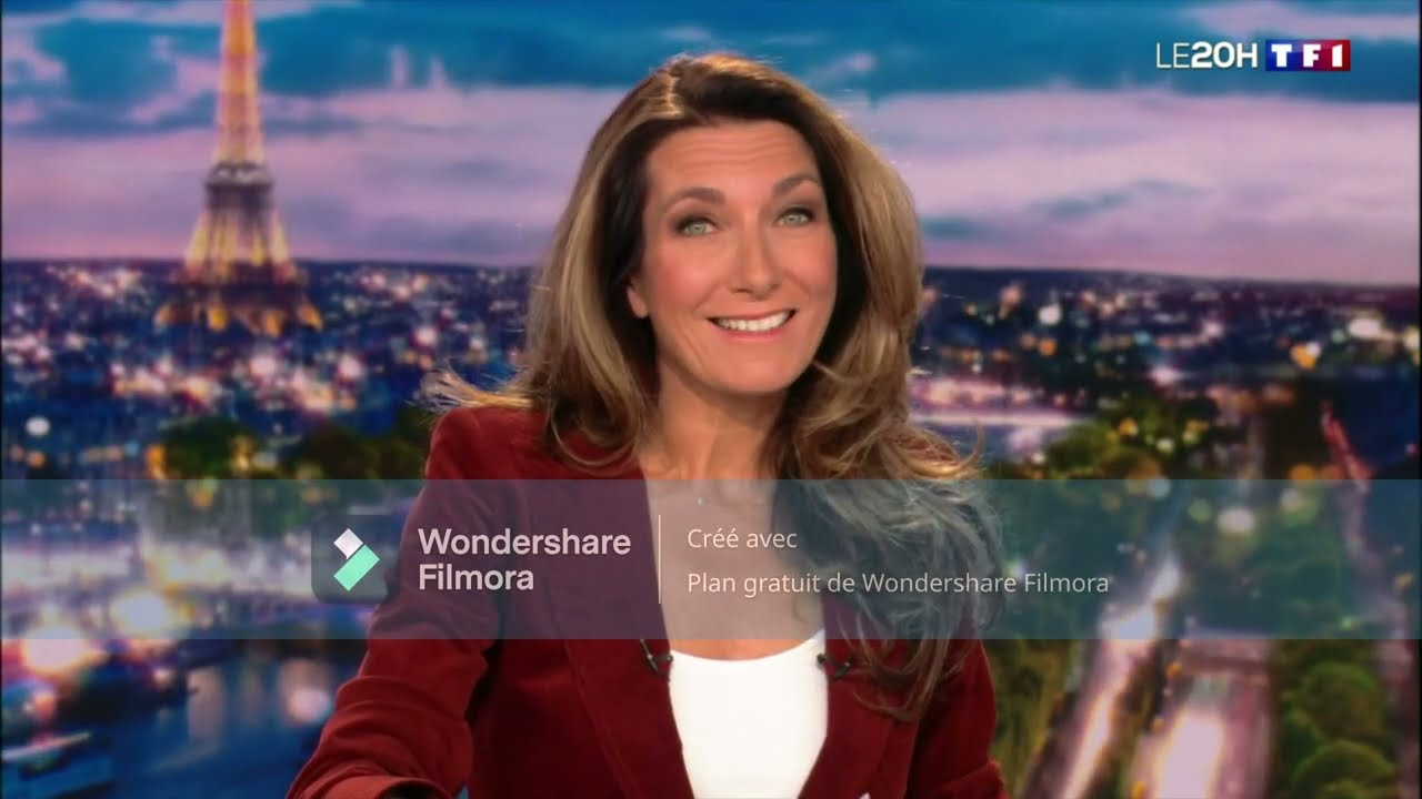 Interview JT TF1 20H - 29/01/23 - 