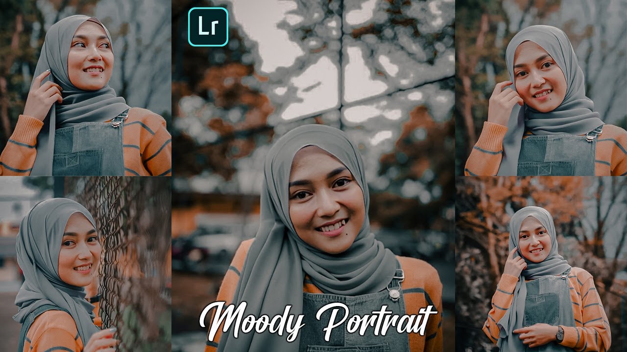 lightroom mobile presets free dng | Moody Portrait lightroom presets free download