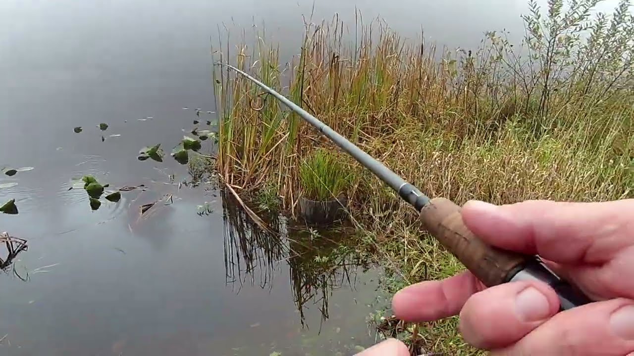 Trout Fishing / Northern California 
