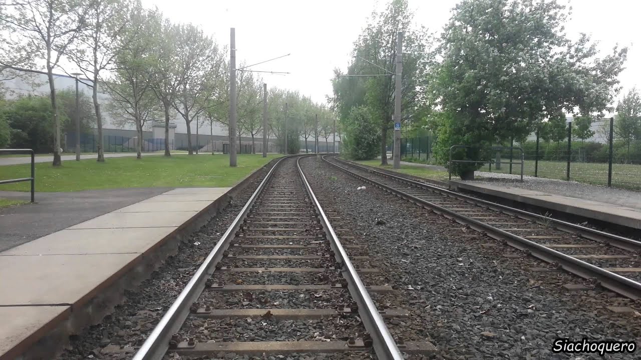 Dresden Tram / Streetcar / Трамвай / Straßenbahn Linie 1: Leutewitz - Prohlis (Rundfahrt) (4x)