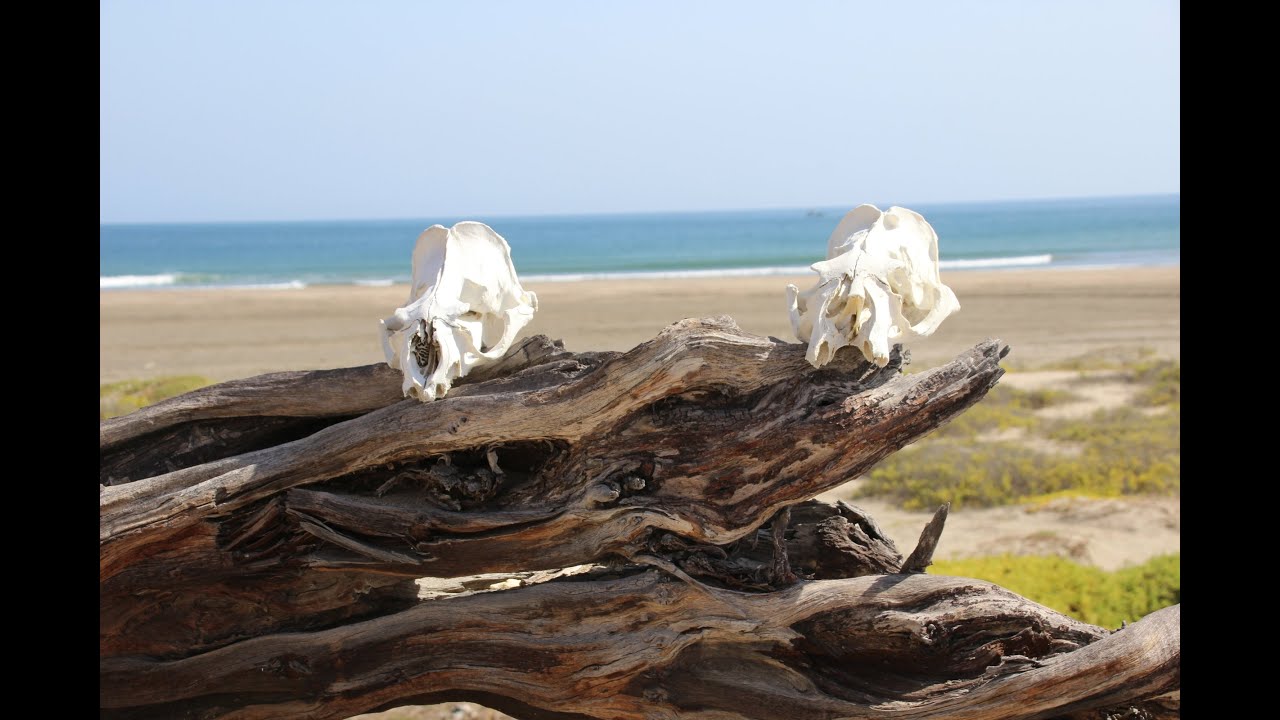 Punta Luna Surf Lodge, June 2022