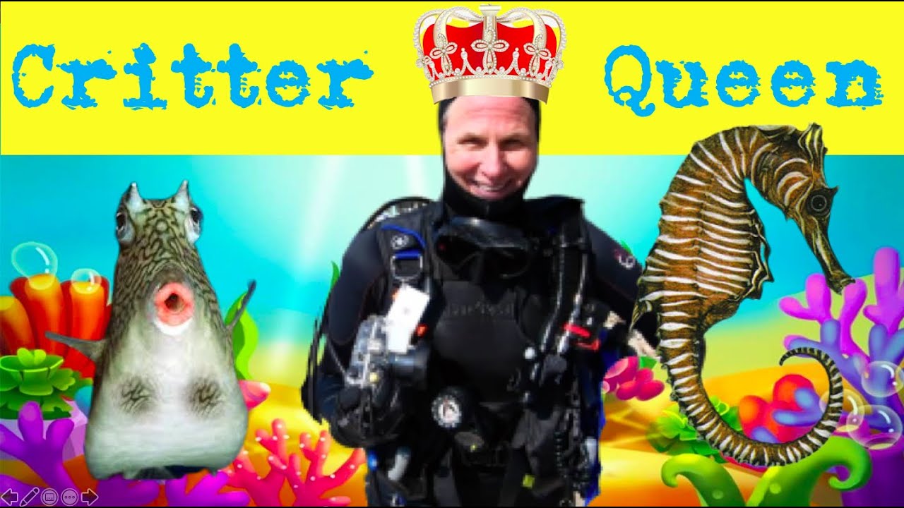 26: SCUBA DIVING WITH DANGEROUS SEA CREATURES IN LOMBOK