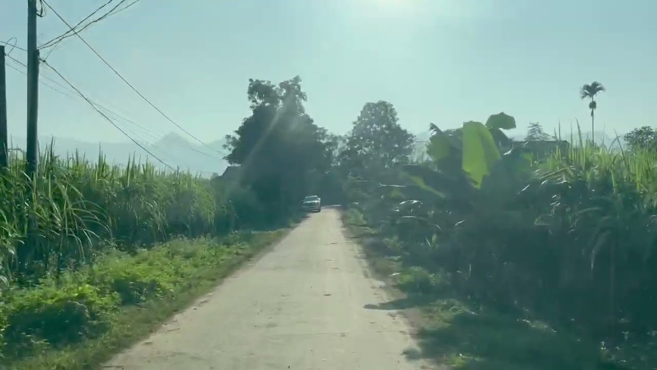 CyclingTours InVietnam - Snail Adventure Tours and Tony Adventure Tours