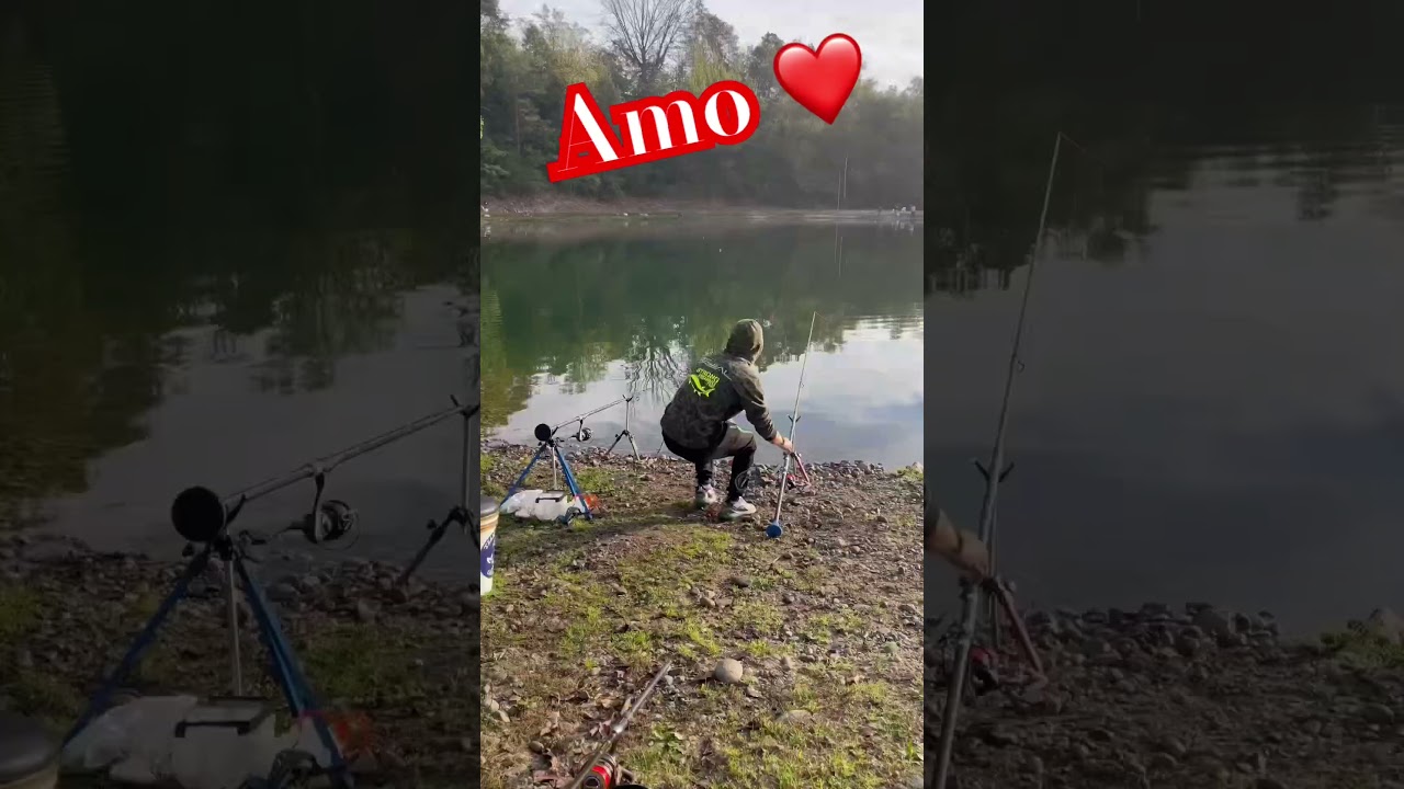 Pesca allo storione #lago pesorto #ferrate #pesca #passionepesca#perte #shorts#viral