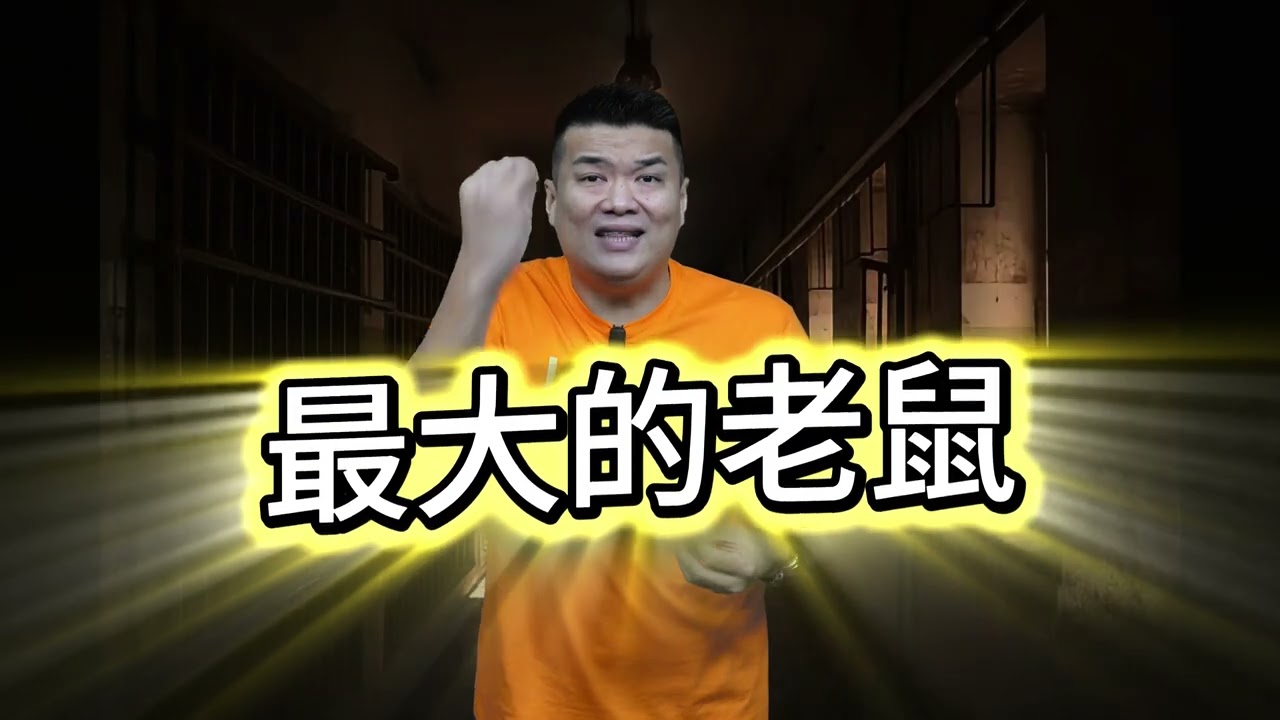包庇贪污就是背叛国家！元首发声，矛头直指反贪会阿占巴基!