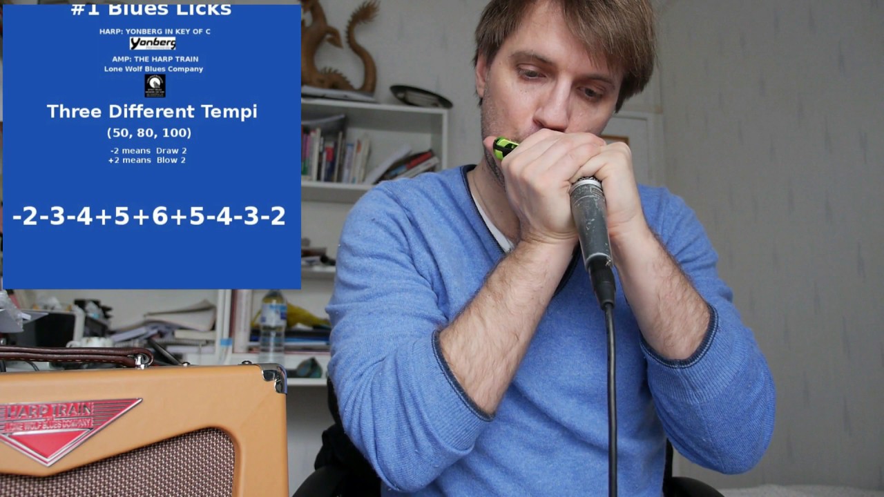 Harmonica Blues Lick Video #1-Yonberg-Lone Wolf Blues Compagny-BEIJA JEANZAC