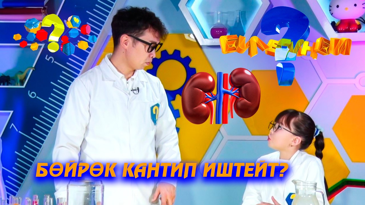 Бөйрөк кантип иштейт? // Билесиңби? 15. 02.2026