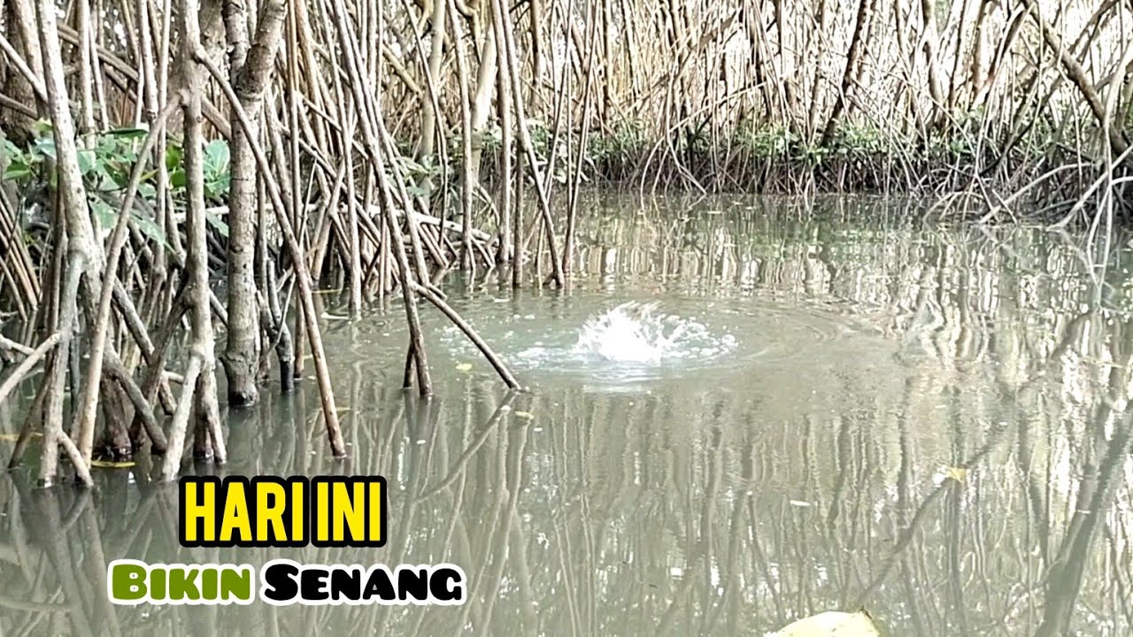 senangnya lihat spot Seperti ini|| bikin lupa segalanya