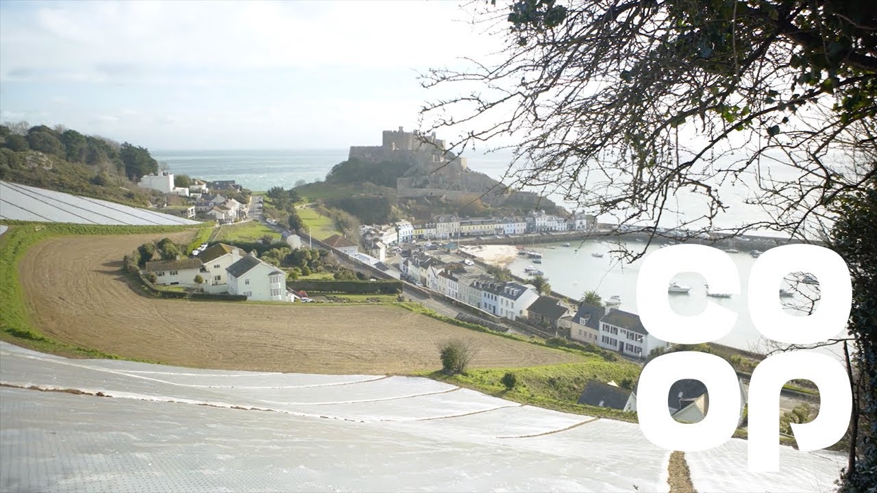 Co-op | Meet the Producer &ndash; Jersey Royal Potatoes