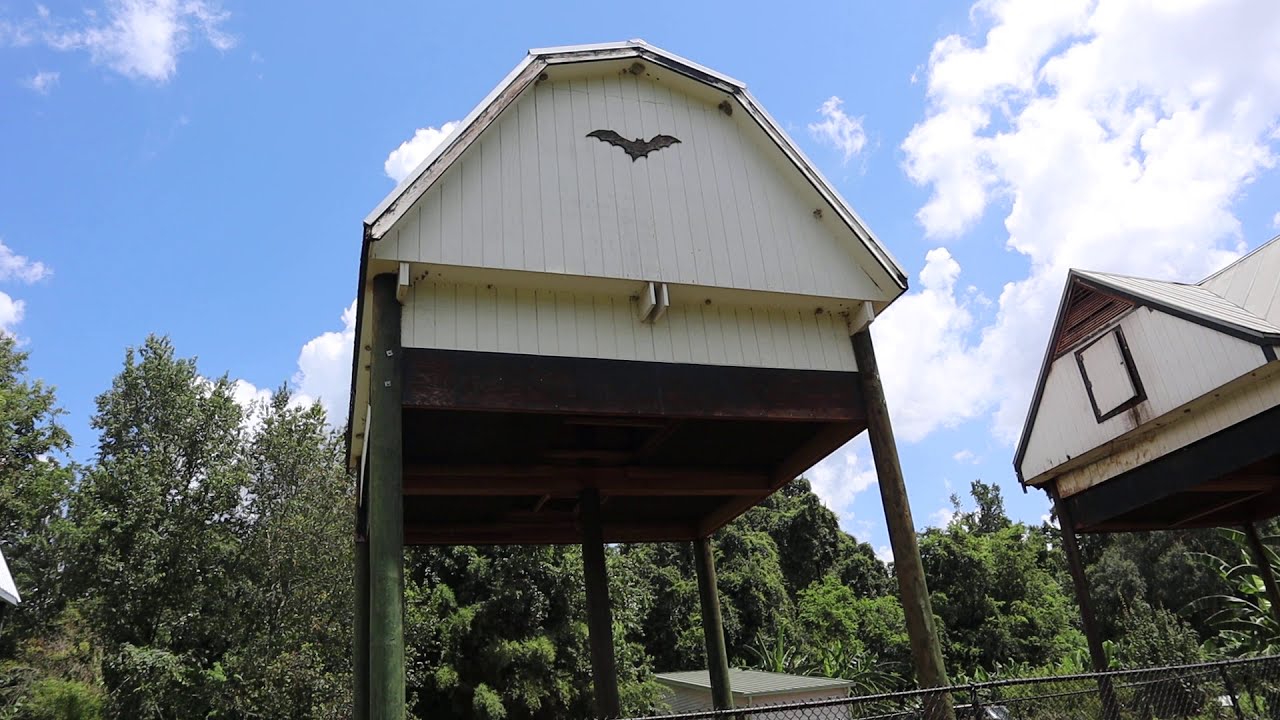 World's Largest Bat House | Roadside Attractions in USA