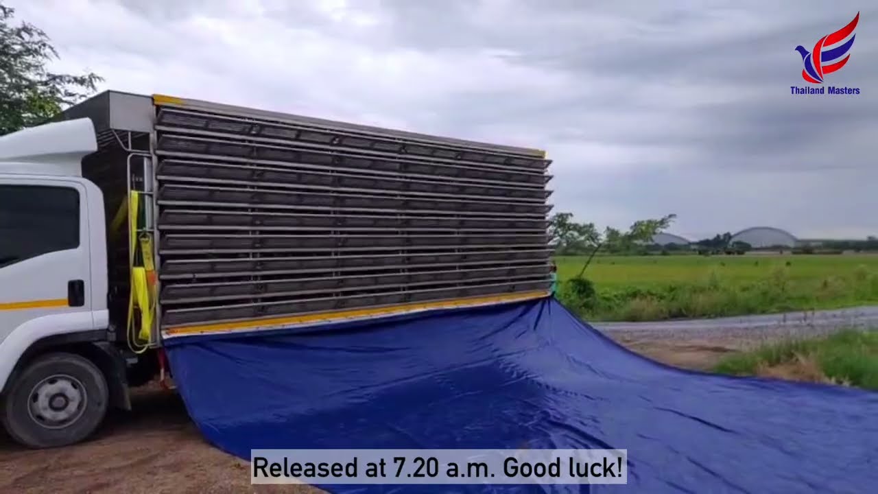 100 Km - Qualifying Toss