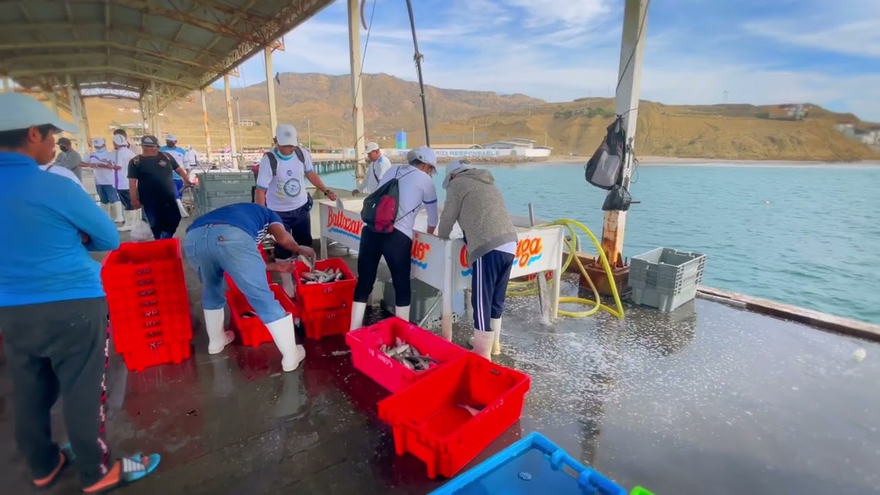 #Perú: Comunidades pesqueras que protegen el mar y la pesca sostenible - CFI / Challenge Fund