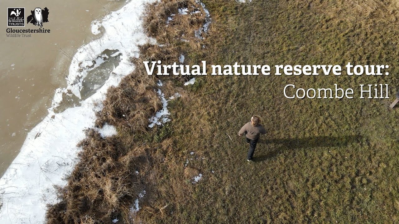 Virtual nature reserve tour: Coombe Hill