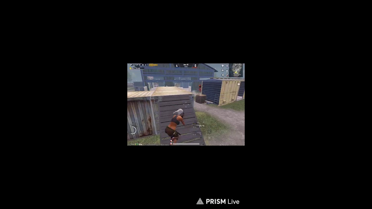 Прямая трансляция TR BRUNO