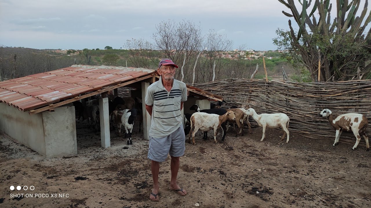 O AMANHECER NO SERTÃO COM SEU MANOELZINHO A CAMINHO DO ROÇADO.