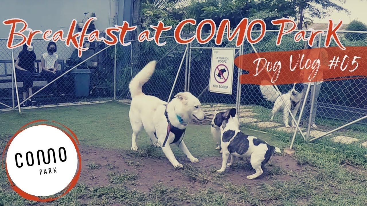 Breakfast at the Dog Park (COMO Park, Jakarta)