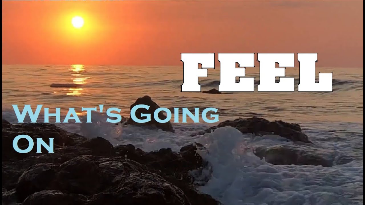 Feel - What's Going on (OFFICIAL MUSIC VIDEO)