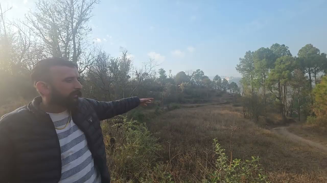 12 bigha land for sale in himachal pradesh 