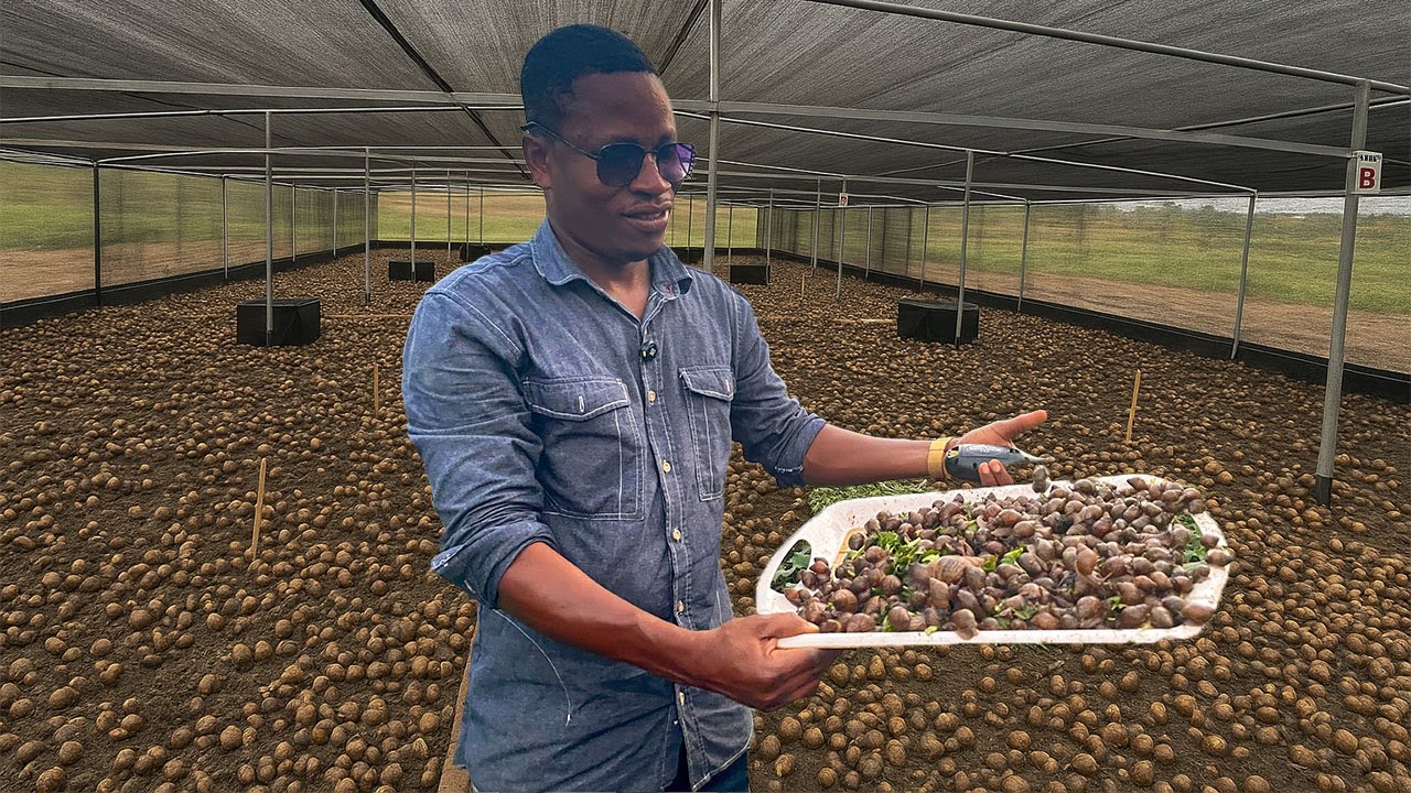 FROM 1000 TO 20,000 SNAILS IN JUST 5 MONTHS.