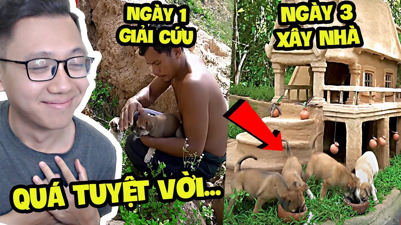 Họ Giải Cứu Chó Con Bị Bỏ Rơi Và Xây Nhà Trong Rừng Cho Chúng!