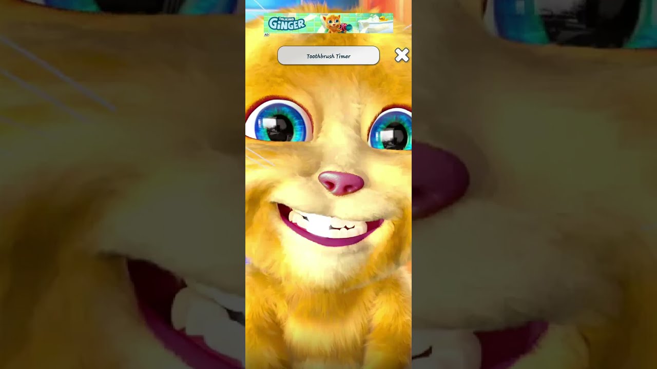 Talking Ginger tom cat funny videos 