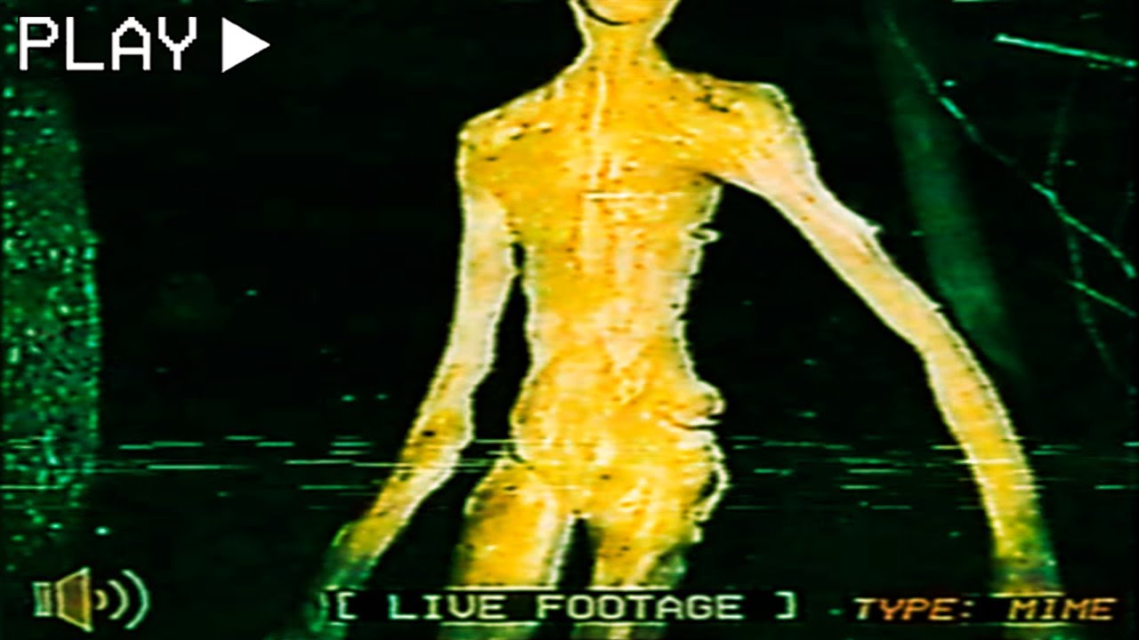 Esas Cosas están en el Bosque ❌ Forest Folk (Analog Horror)