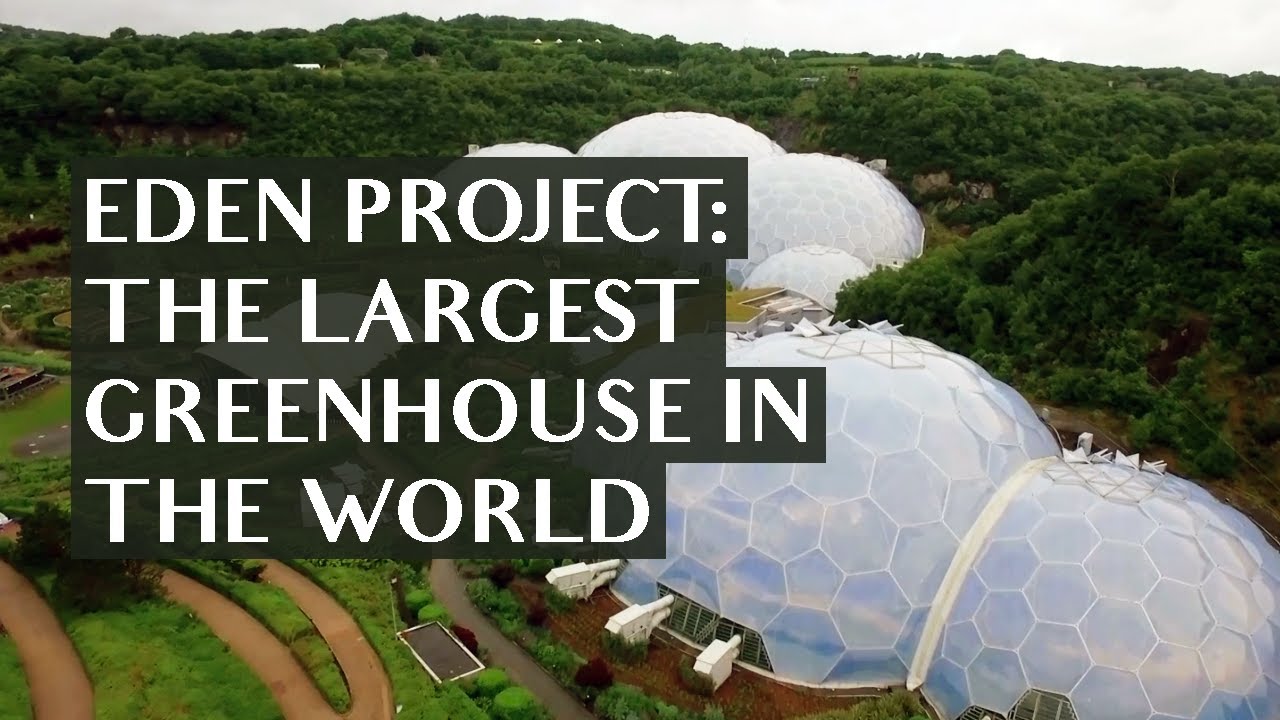 The Eden Project | Sustainability and Conservation