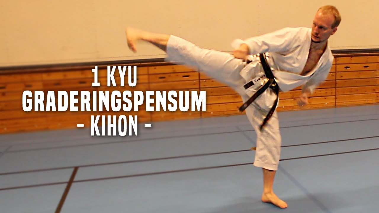 1.Kyu - Kihon